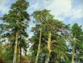 les sommets du paysage classique des pins Ivan Ivanovitch arbres